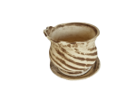 Saksija lala