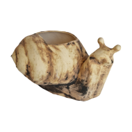 Saksija puž